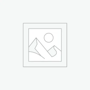 Fusce ullamcorper dapibus