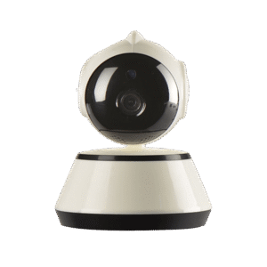 Donec ullamcorper turpis