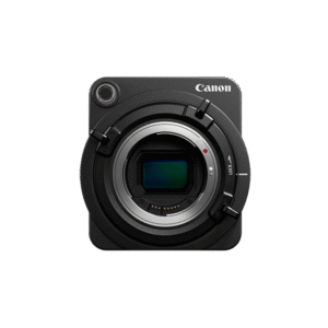 Aenean non pellentesque mauris