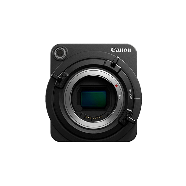 Donec ullamcorper turpis - Image 4