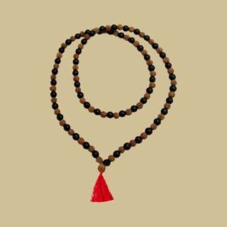 Suspendisse vehicula at dui