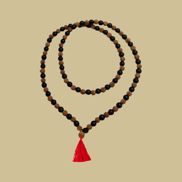 Suspendisse vehicula at dui