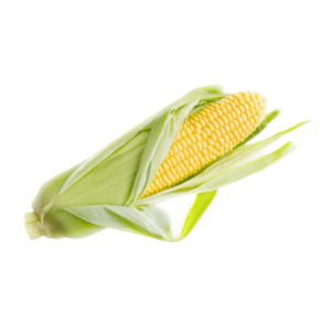 Organic Corn